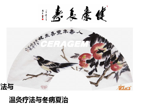 温灸疗法与冬病夏治ppt课件