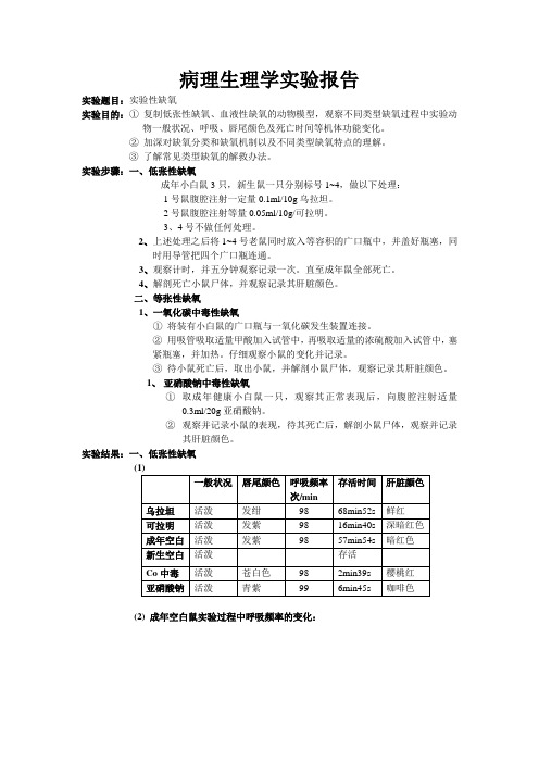 病理生理学实验性缺氧