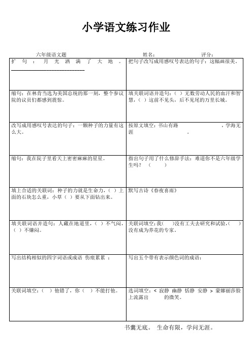 小学六年级语文提高训练I (24)