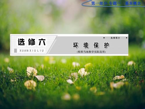 高考一轮复习选修6第1讲《环境与环境问题》(环境管理及公众参与)课件