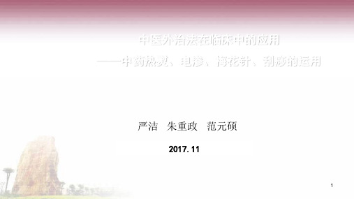 中医外治法在临床中的应用ppt课件