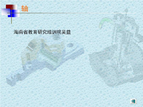 海南省教育研究培训院吴益