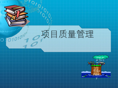 第八章 项目质量管理