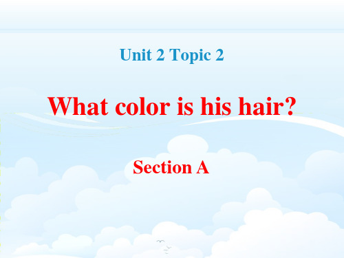 《What color is his hair》SectionA PPT【优秀课件资料】