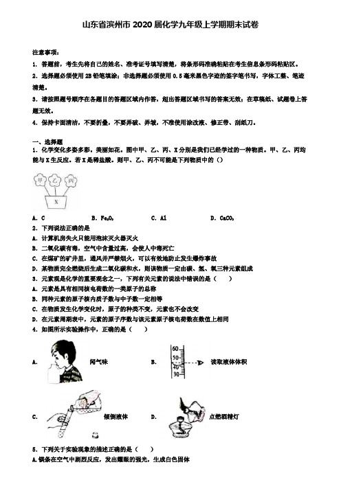 山东省滨州市2020届化学九年级上学期期末试卷
