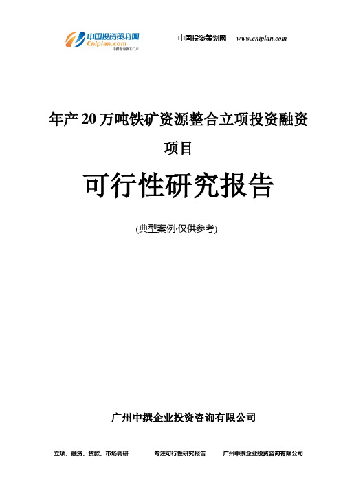 年产20万吨铁矿资源整合融资投资立项项目可行性研究报告(中撰咨询)