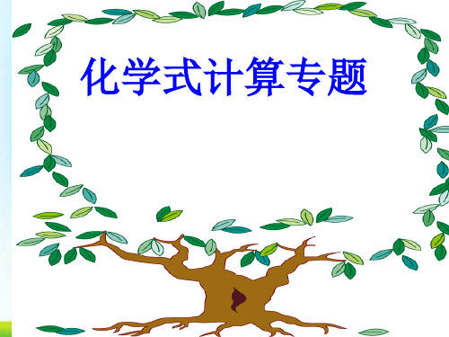 化学式计算专题PPT课件 人教版