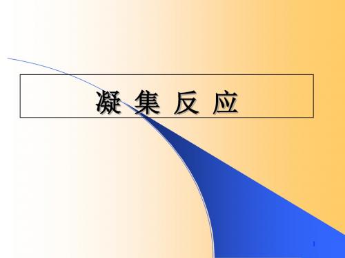 凝集反应课件 共24页