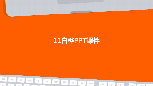 11白桦ppt课件原