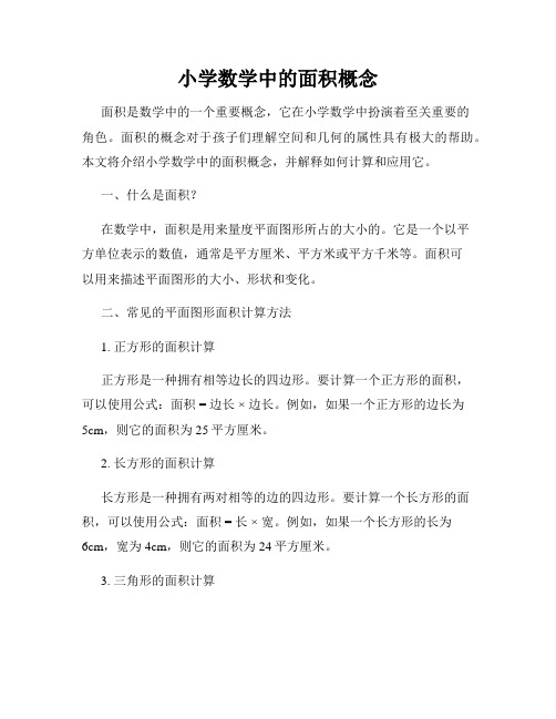 小学数学中的面积概念