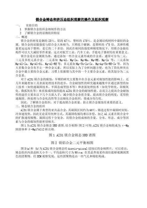 镁合金铸态和挤压态组织观察实验指导书