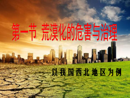 荒漠化的危害和治理-以我国西北地区为例
