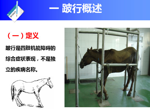 第十二章跛行诊断(理论)