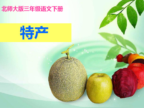北师大版小学三年级下册语文《特产》课件