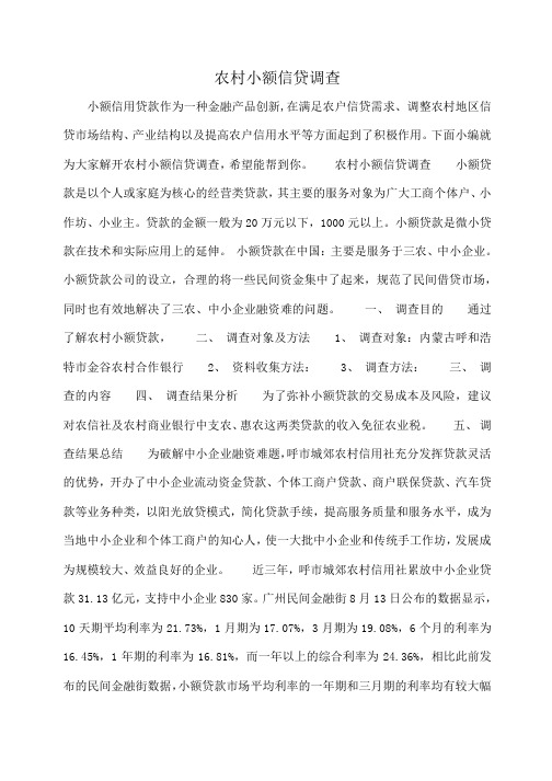 小度写范文农村小额信贷调查模板