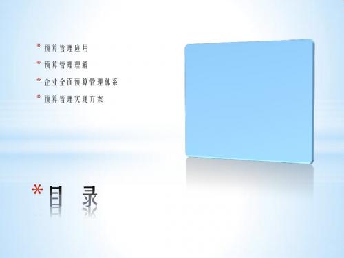 全面预算管理业务知识介绍