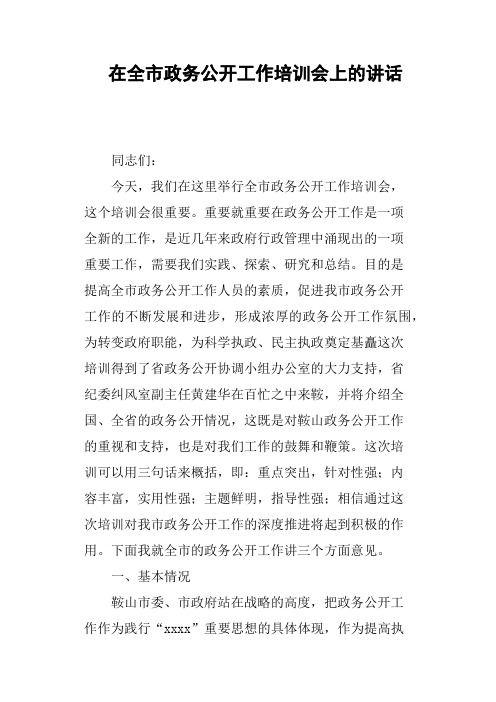 在全市政务公开工作培训会上的讲话