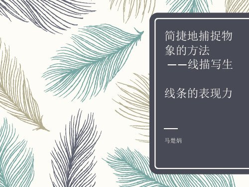 线描优课课件