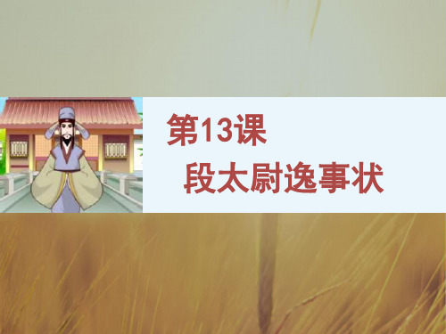 2018学年语文版必修2 第13课 段太尉逸事状 课件25张