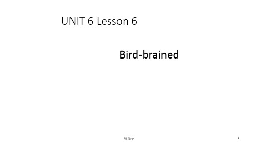 新概念英语青少版3A Unit 6