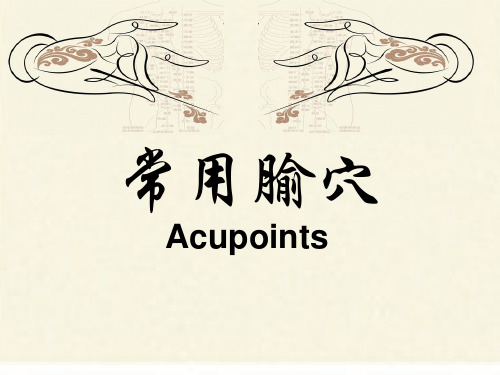 中医常用腧穴