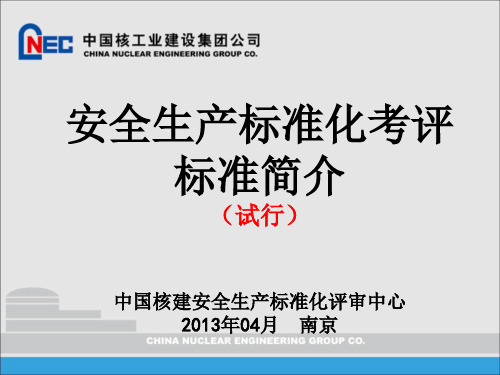 安全生产标准化评审标准(试行)