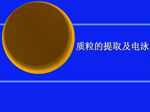 质粒提取