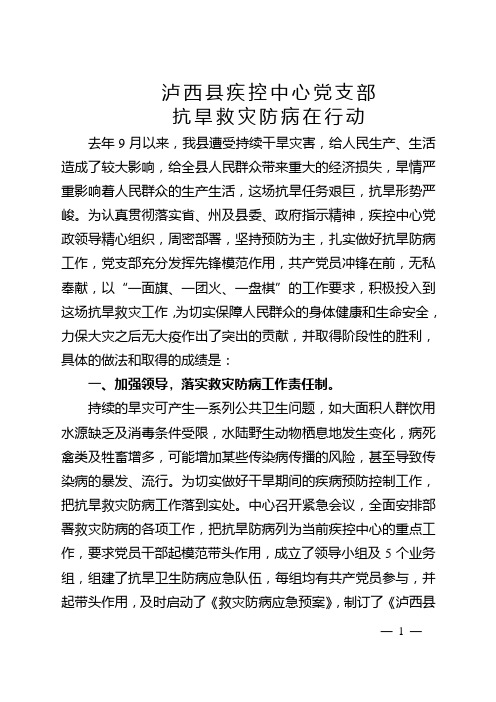 疾控中心党支部2010抗旱先进材料