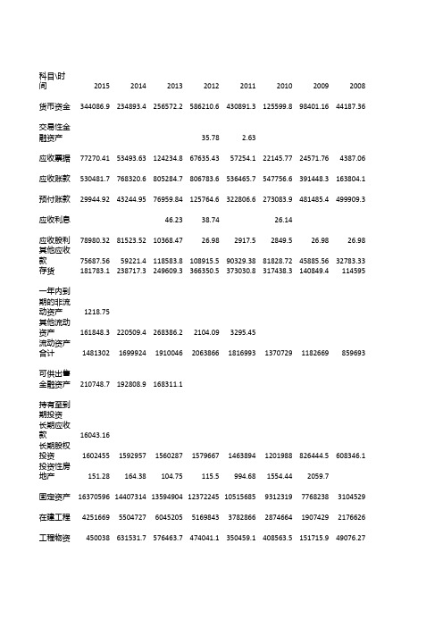 国电电力资产负债表