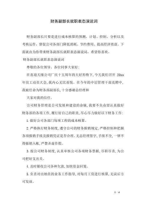 财务副部长就职表态演说词
