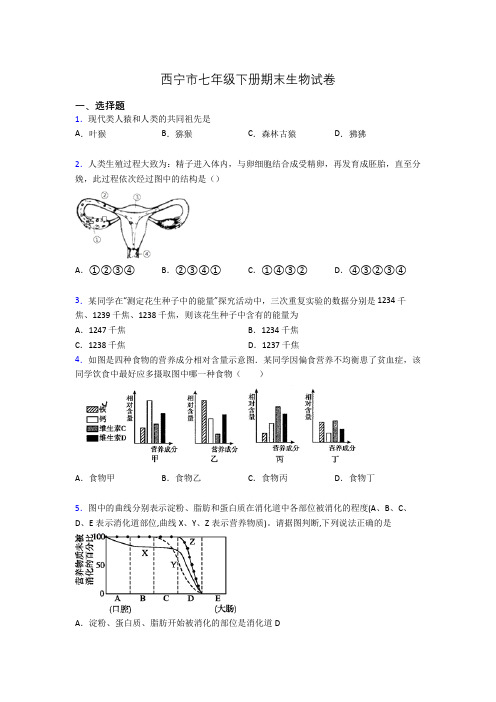 西宁市七年级下册期末生物试卷