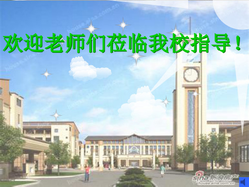 金属活动性顺序 公开课课件