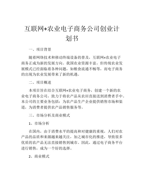 互联网+农业电子商务公司创业计划书