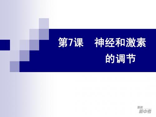 2008年经济师(中级)人力资源管理全真试题