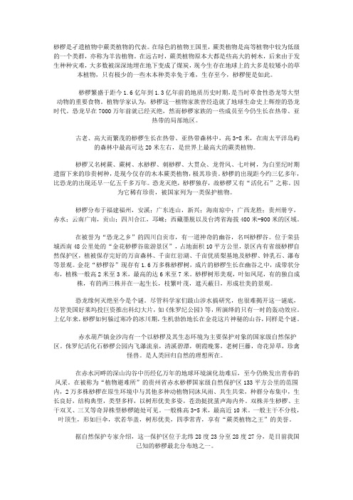 桫椤