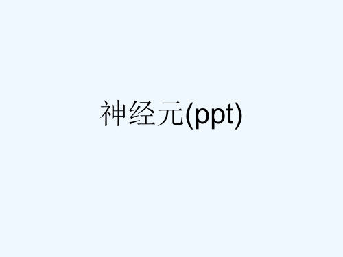 神经元(ppt)