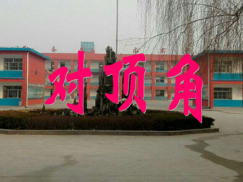 华东师大版数学七年级上册对顶角精品课件PPT2