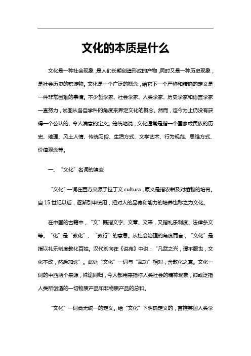 文化的本质是什么