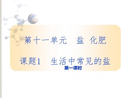 人教版九年级下册化学第11单元课题一生活中常见的盐(2)