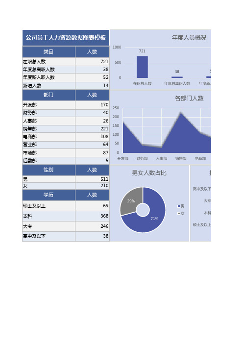 公司员工人力资源数据图表模板