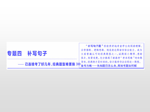 高考语文复习专题  补写句子