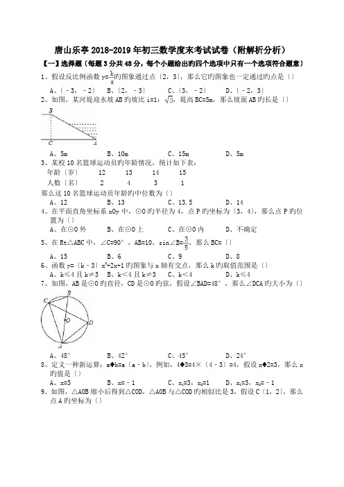 唐山乐亭2018-2019年初三数学度末考试试卷(附解析分析)