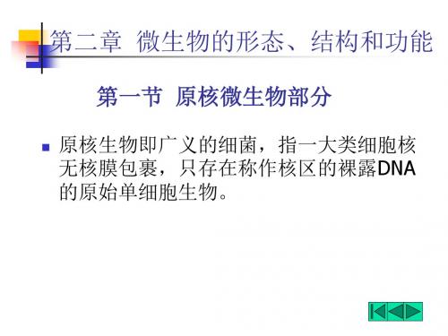 微生物的形态、结构和功能