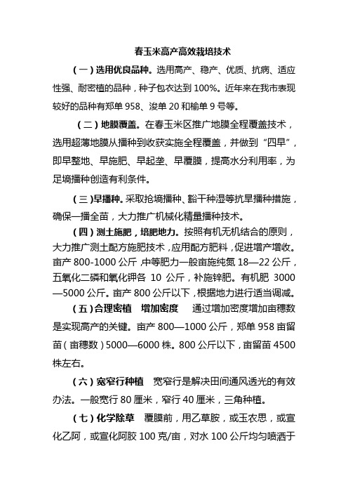 春玉米高产高效栽培技术