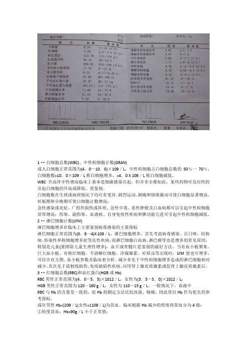 血常规