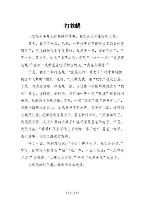 打苍蝇_四年级作文_1