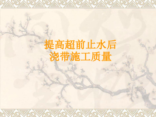 19、提高超前止水后浇带施工质量培训讲义PPT