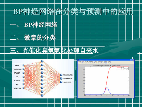 BP神经网络的应用