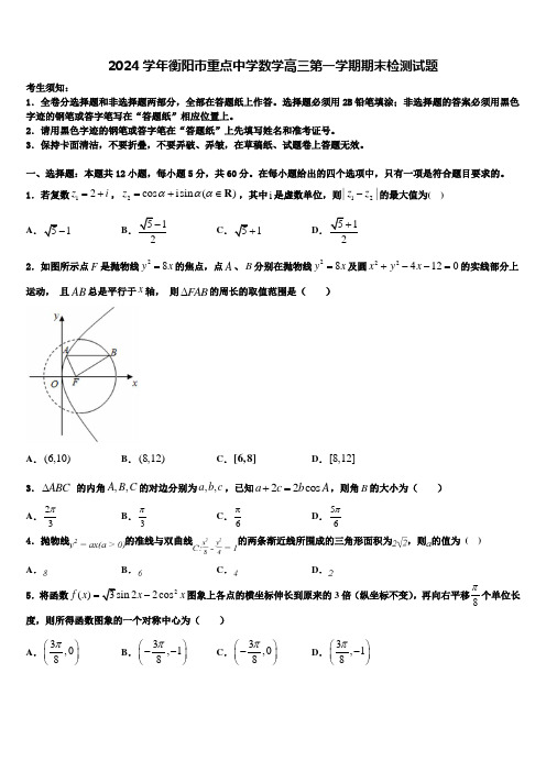 2024学年衡阳市重点中学数学高三第一学期期末检测试题含解析