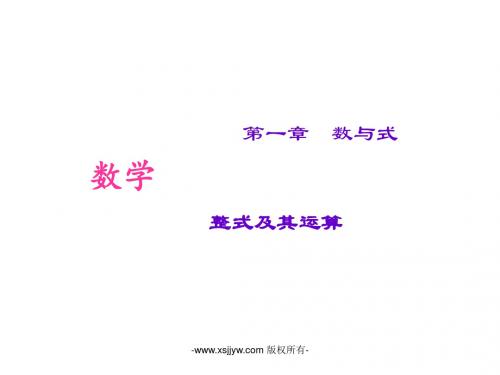 山西省太原北辰双语学校2016届中考数学考点专题复习课件-整式及其